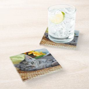 Cutest Baby Animals   Kitten Lounging Glass Coaster