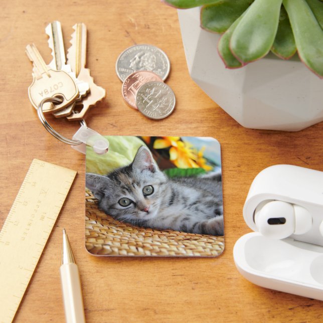 Cutest Baby Animals | Kitten Lounging Keychain (Desk)