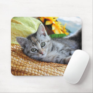 Cutest Baby Animals   Kitten Lounging Mouse Pad