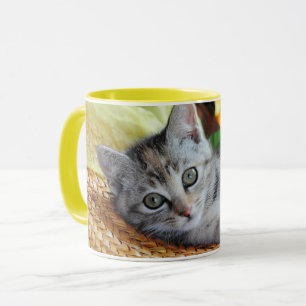 Cutest Baby Animals Kitten Lounging Mug