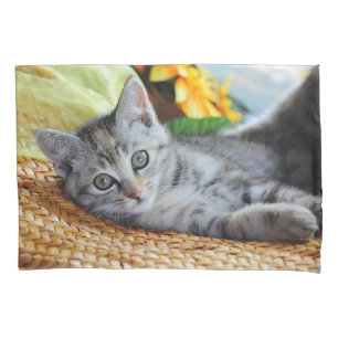 Cutest Baby Animals   Kitten Lounging Pillowcase