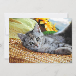 Cutest Baby Animals Kitten Lounging Thank You Card