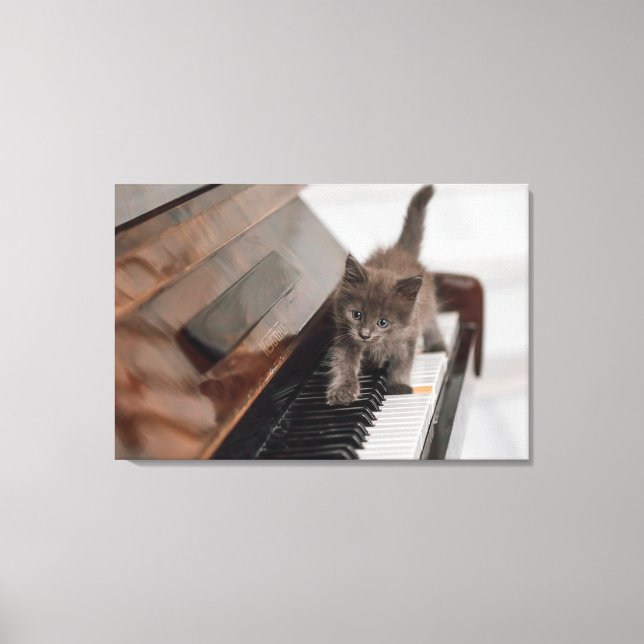 Cutest Baby Animals | Kitten on Piano Canvas Print (Front)