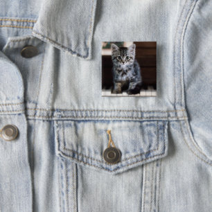 Cutest Baby Animals Kitten on Piano Keys 2 Inch Square Button