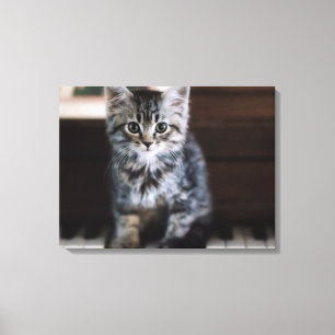 Cutest Baby Animals   Kitten on Piano Keys Canvas Print