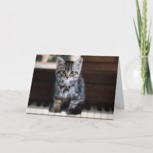 Cutest Baby Animals   Kitten on Piano Keys Card