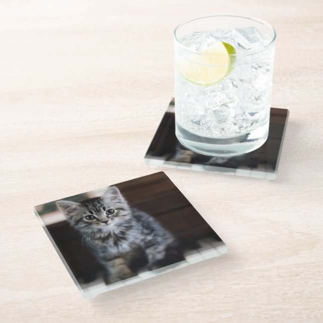 Cutest Baby Animals | Kitten on Piano Keys Glass Coaster (Angled)