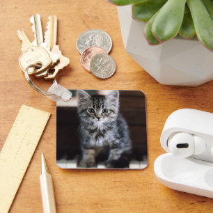 Cutest Baby Animals Kitten on Piano Keys Keychain