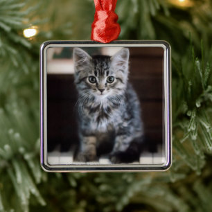 Cutest Baby Animals Kitten on Piano Keys Metal Ornament