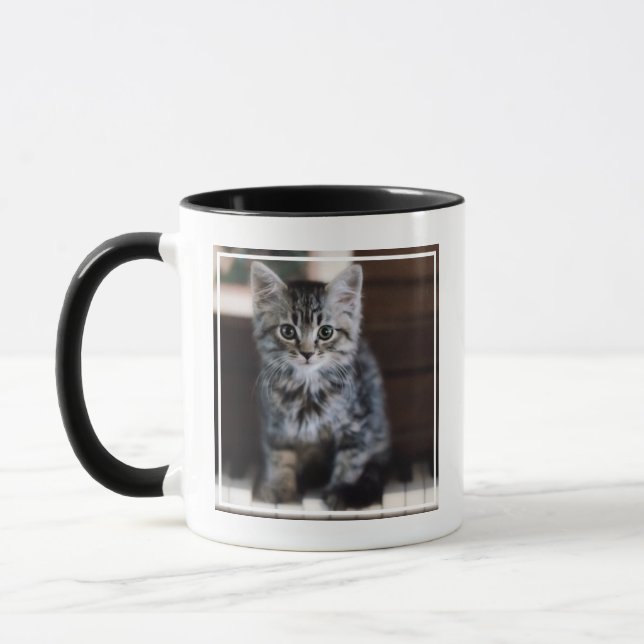 Cutest Baby Animals | Kitten on Piano Keys Mug (Left)
