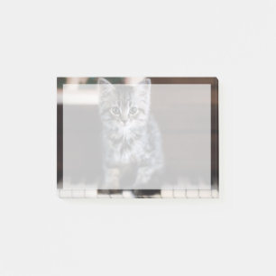 Cutest Baby Animals   Kitten on Piano Keys Post-it Notes