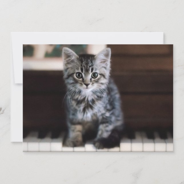 Cutest Baby Animals | Kitten on Piano Keys Thank You Card (Front)