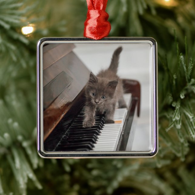 Cutest Baby Animals | Kitten on Piano Metal Ornament (Tree)