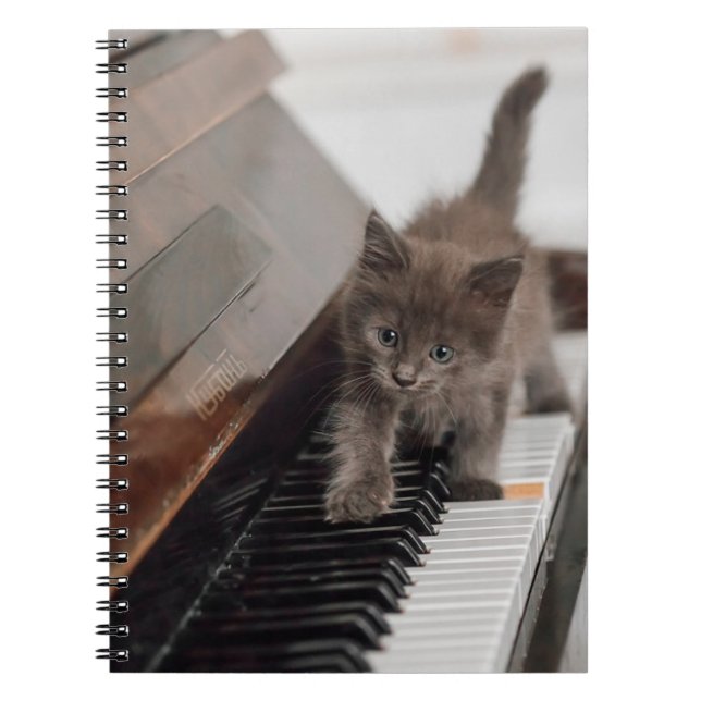 Cutest Baby Animals | Kitten on Piano Notebook (Front)