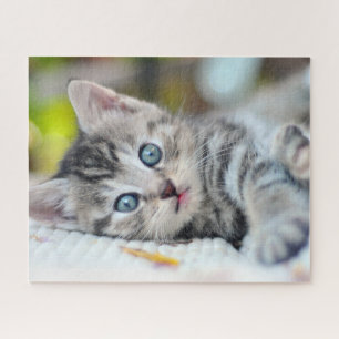 Cutest Baby Animals Kitten With Blue Eyes Jigsaw Puzzle