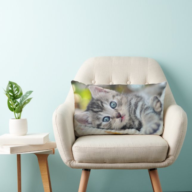 Cutest Baby Animals | Kitten With Blue Eyes Lumbar Pillow (Chair)