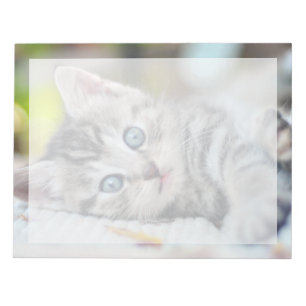 Cutest Baby Animals   Kitten With Blue Eyes Notepad