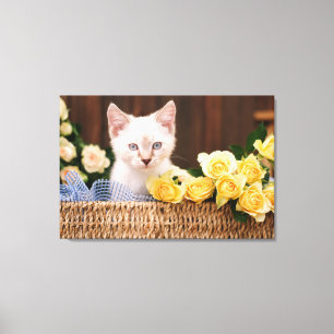 Cutest Baby Animals   Kitten & Yellow Roses Canvas Print