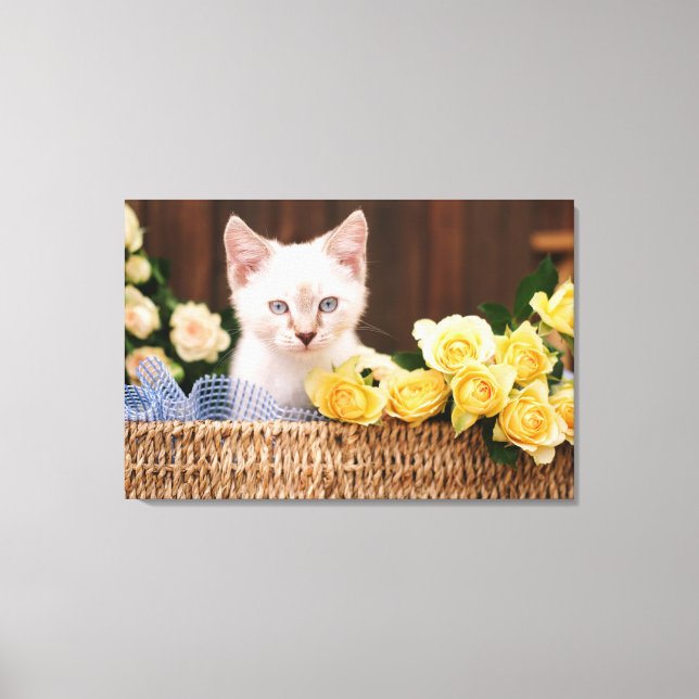 Cutest Baby Animals | Kitten & Yellow Roses Canvas Print (Front)