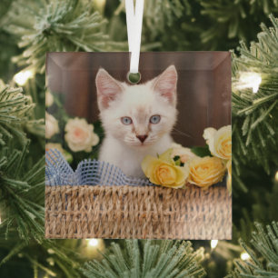 Cutest Baby Animals Kitten & Yellow Roses Glass Ornament