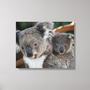 Cutest Baby Animals   Koala and Joey Canvas Print