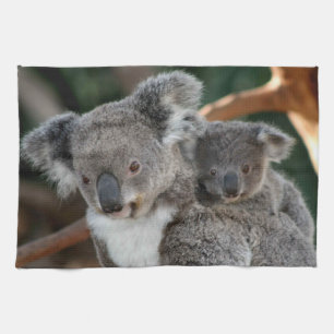 Cutest Baby Animals   Koala and Joey Kitchen Towel