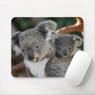 Cutest Baby Animals   Koala and Joey Mouse Pad