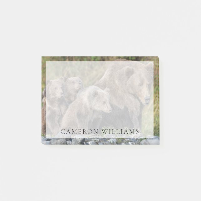 Cutest Baby Animals | Kodiak Mama Bear & Cubs Post-it Notes (Front)