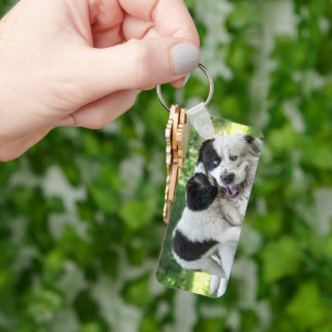 Cutest Baby Animals Landseer Puppy Keychain