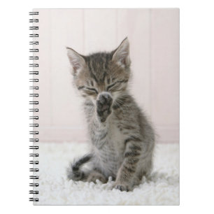 Cutest Baby Animals   Licking Tabby Kitten Notebook