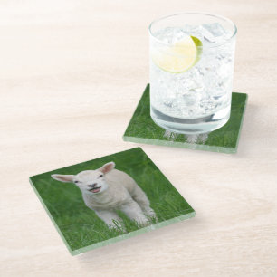 Cutest Baby Animals Lil Lamb Glass Coaster