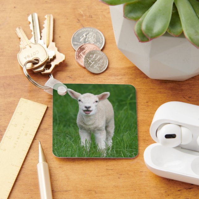 Cutest Baby Animals | Lil Lamb Keychain (Desk)