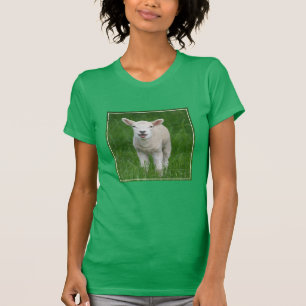 Cutest Baby Animals   Lil Lamb T-Shirt