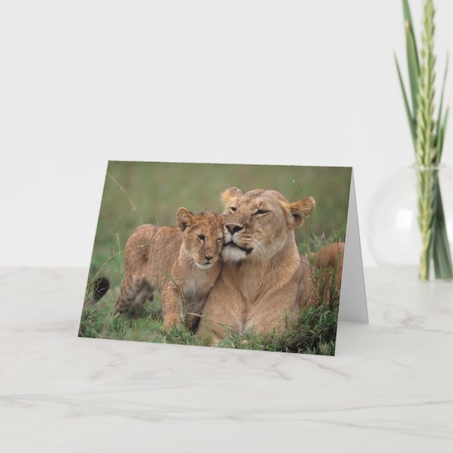 Cutest Baby Animals | Lion Cub & Mother Card (Front)