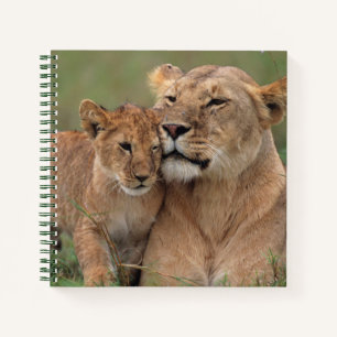 Cutest Baby Animals   Lion Cub & Mother Notebook