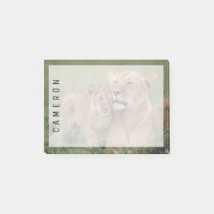 Cutest Baby Animals Lion Cub & Mother Post-it Notes