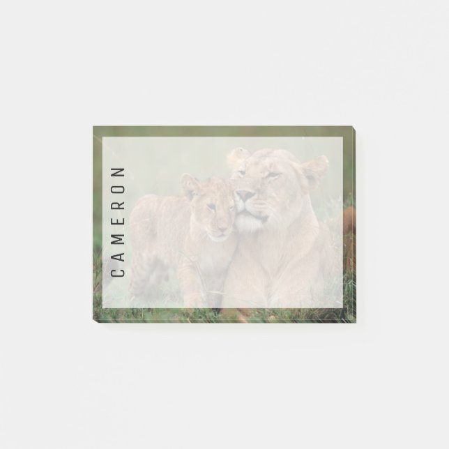 Cutest Baby Animals | Lion Cub & Mother Post-it Notes (Front)