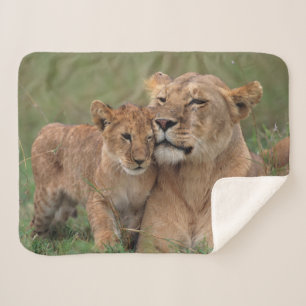 Cutest Baby Animals   Lion Cub & Mother Sherpa Blanket