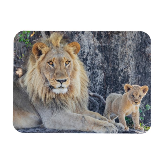 Cutest Baby Animals | Lion Dad & Cub Magnet (Horizontal)