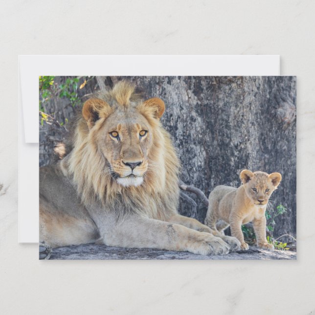 Cutest Baby Animals | Lion Dad & Cub Thank You Card (Front)