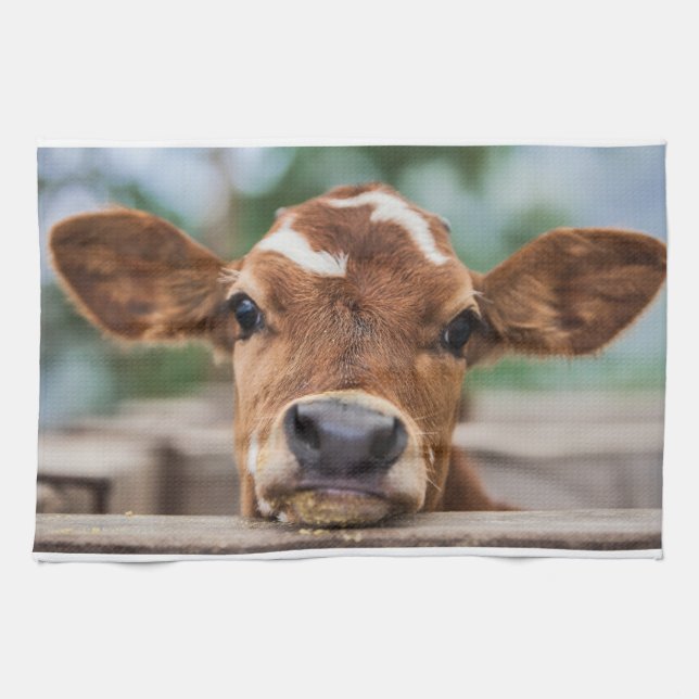 Cutest Baby Animals | Little Cow Calf Kitchen Towel (Horizontal)