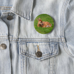 Cutest Baby Animals Little Fawn 2 Inch Round Button