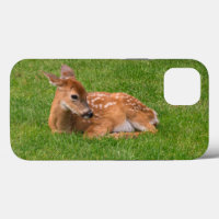 Cutest Baby Animals | Little Fawn