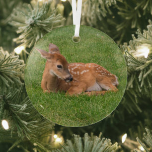 Cutest Baby Animals Little Fawn Glass Ornament