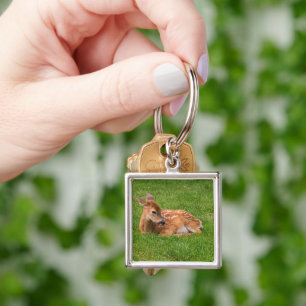 Cutest Baby Animals Little Fawn Keychain