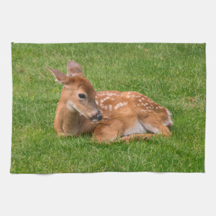 Cutest Baby Animals Little Fawn Kitchen Towel