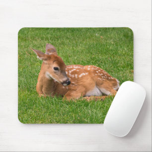 Cutest Baby Animals   Little Fawn Mouse Pad