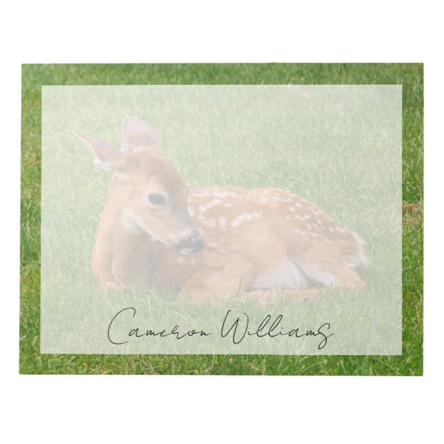 Cutest Baby Animals | Little Fawn Notepad (Front)