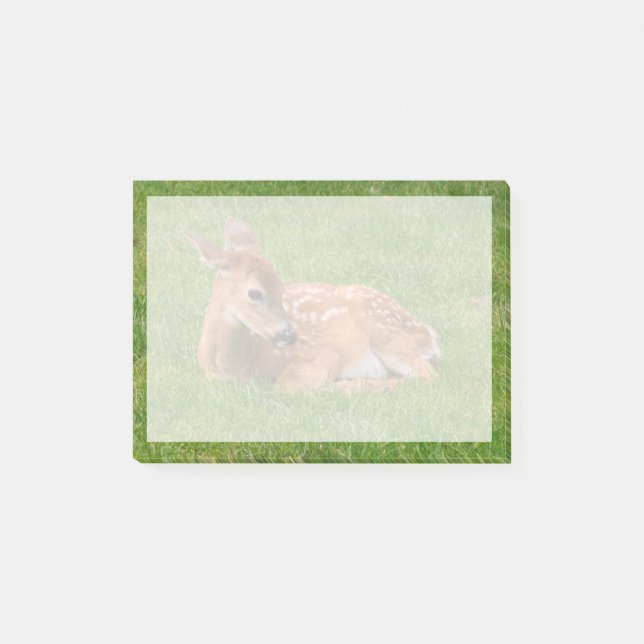 Cutest Baby Animals | Little Fawn Post-it Notes (Front)