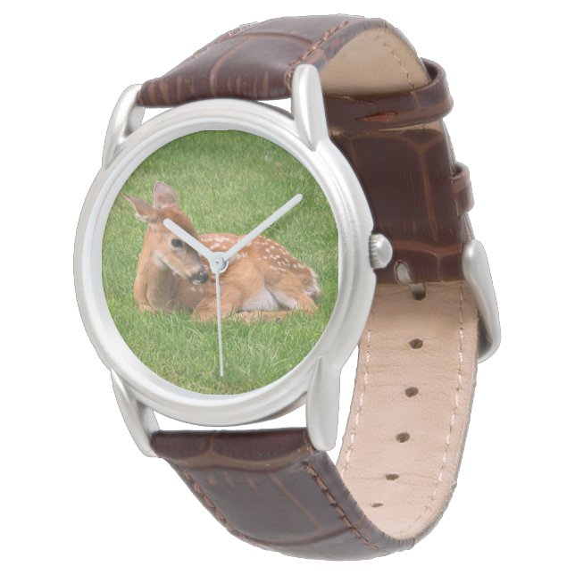 Cutest Baby Animals | Little Fawn Watch (Angled)